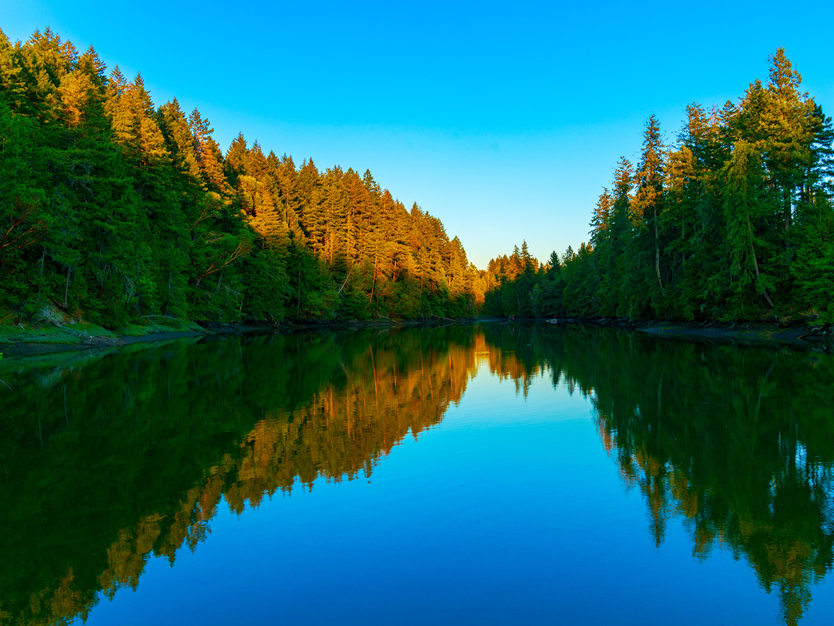 20501_FY19_BP_StateParks-inset_600x450_JarrellCove 20501_FY19_BP_StateParks-inset_600x450_JarrellCove